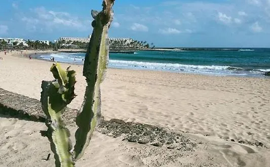 ヴィラ Bella Lanzarote